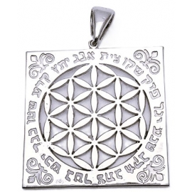 FLOR DE LA VIDA CON ANA B COACH